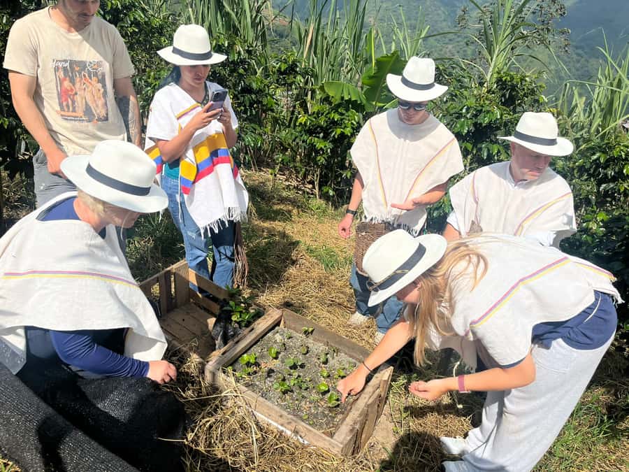 Medellin: Coffee Tour with Hotel Transfers and Meals - Getting to the farm: pickup timing, drive time, and the mountain climb