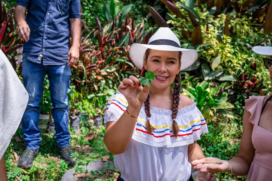 Medellin: Coffee Tour with Transport, Snacks and Tastings - Key Takeaways