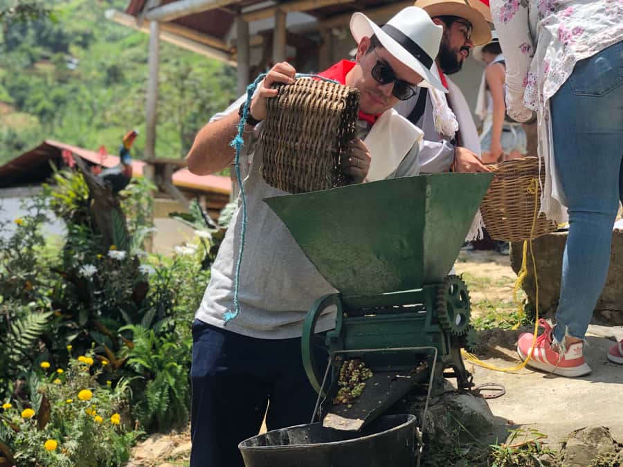 Medellin: Coffee Tour with Transport, Snacks and Tastings - Optional 45-Minute Horseback Ride Through Coffee Hills and Viewpoints