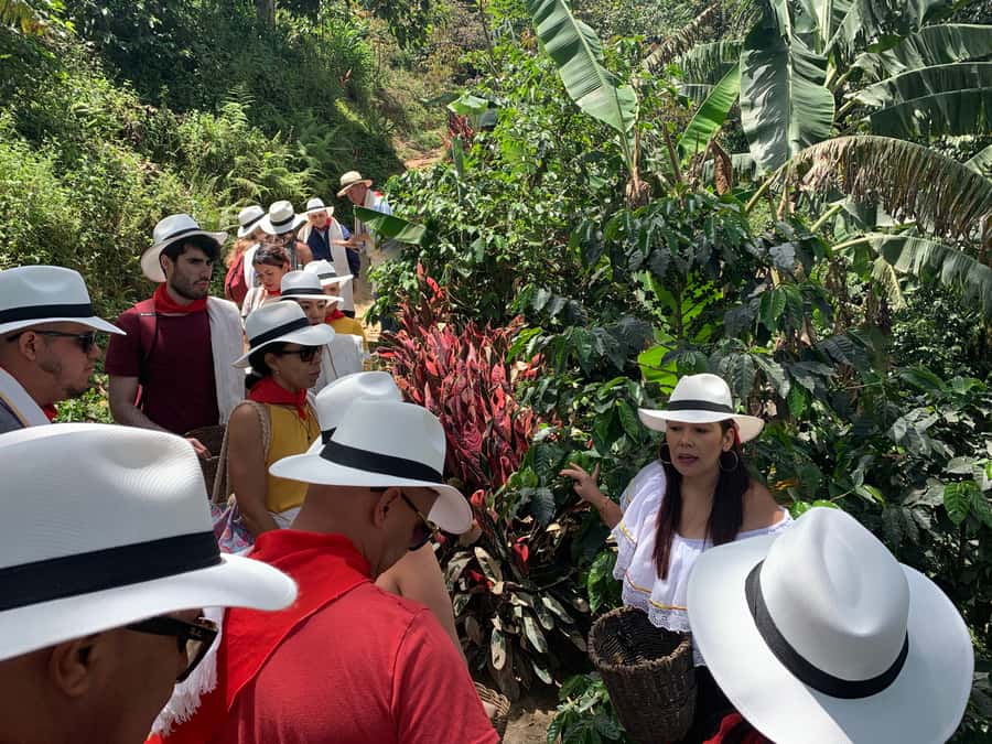 Medellin: Coffee Tour with Transport, Snacks and Tastings - Mucilage Frappé, Coffee Husk Tea, and Why Those Steps Matter