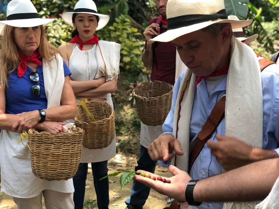 Medellin: Coffee Tour with Transport, Snacks and Tastings - Free Time, Shopping, and the Souvenir Pack With Actual Coffee Content
