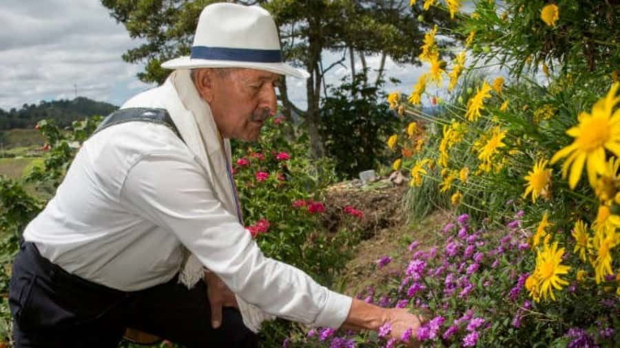 Medellín: Flower Farm & Silletero History Tour - Medellín to Santa Elena, the countryside ride that sets the tone