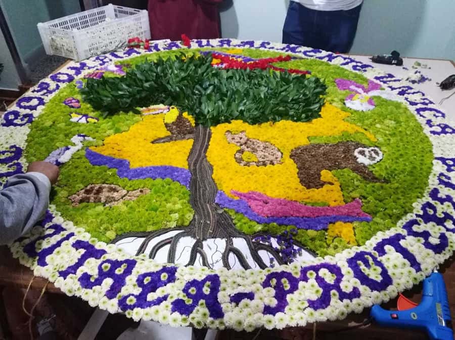 Medellín: Flower Farm & Silletero History Tour - Price and what $70 buys you in real terms