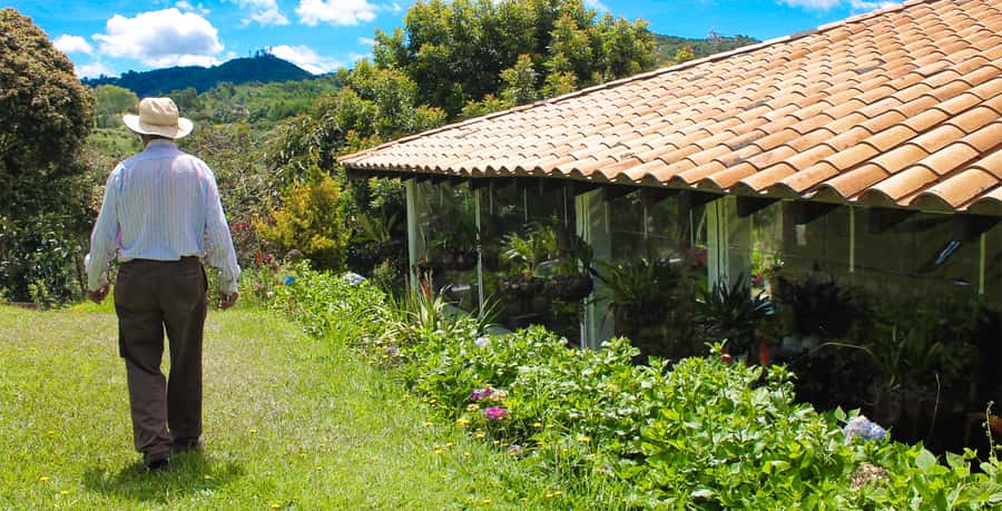 Medellín: Flower Farm & Silletero History Tour - Silleteros and the Feria de las Flores, how a parade tradition becomes farm work
