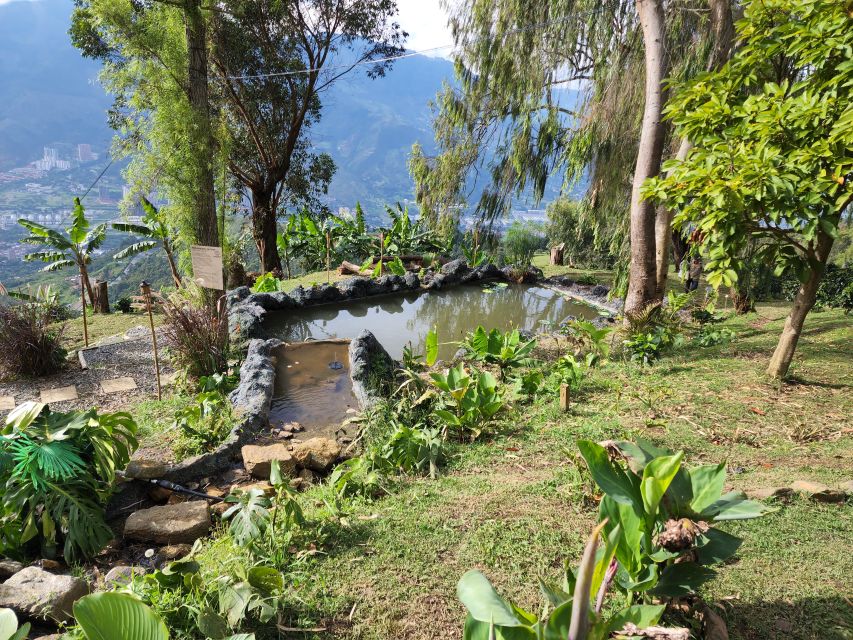 Medellin: Glamping Spa and coffee tour Experience - Coffee Tasting and Learning Different Preparation Methods