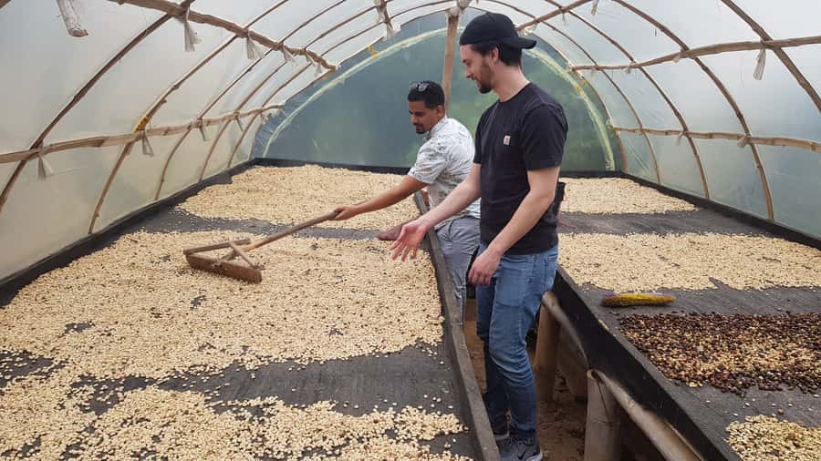 Medellin: Guatape, El Peñol Coffee Farm Private Tour & Fruit - Marinilla fruit tasting: where the day gets delicious fast