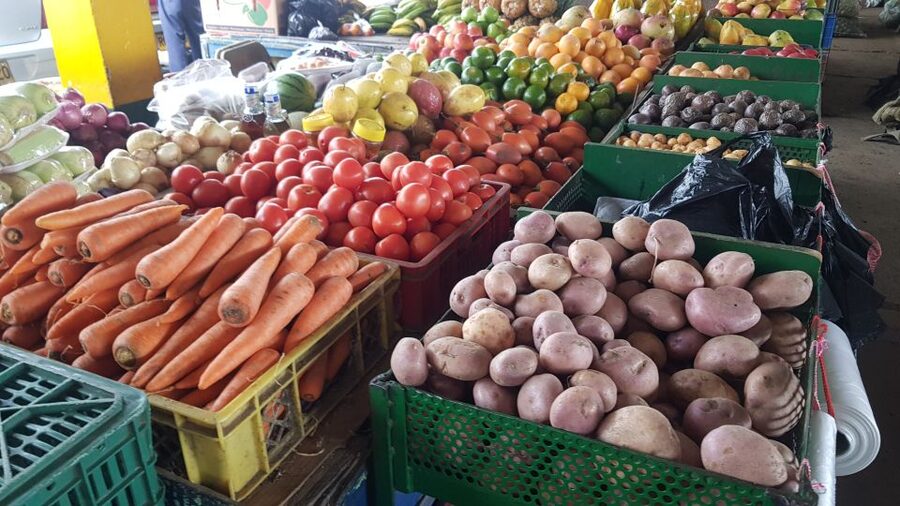 Medellin: Guatape, El Peñol Coffee Farm Private Tour & Fruit - How the day flows: pace, order, and what that means for you