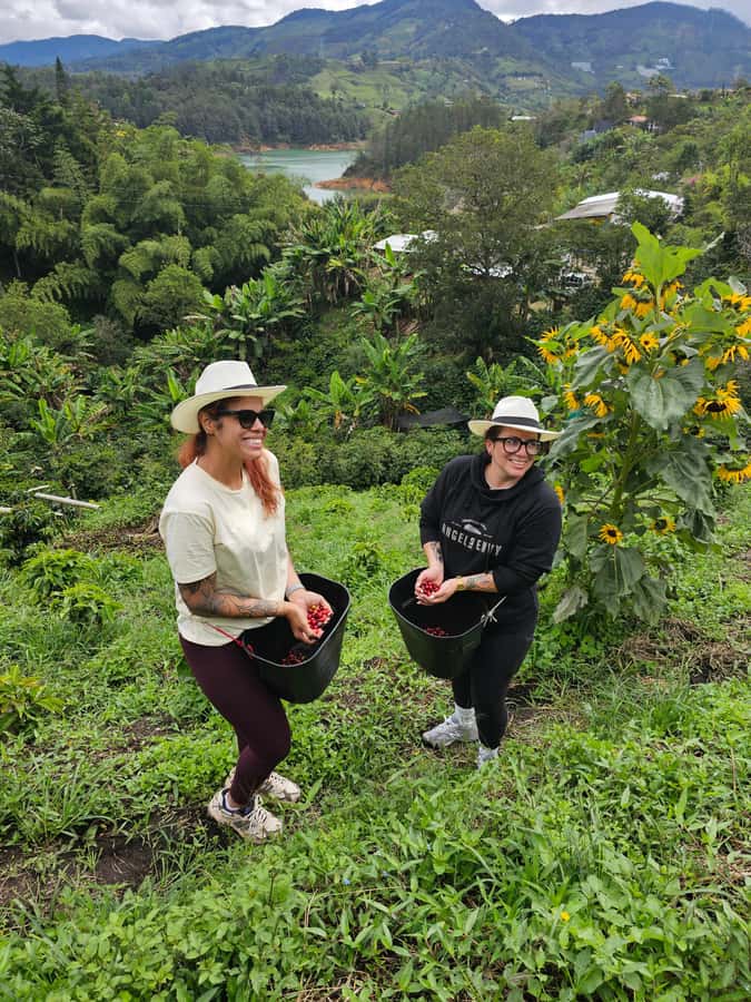 Medellin: Guatape, El Peñol Coffee Farm Private Tour & Fruit - Should you book this Medellín to Guatapé, El Peñol, and coffee tour?