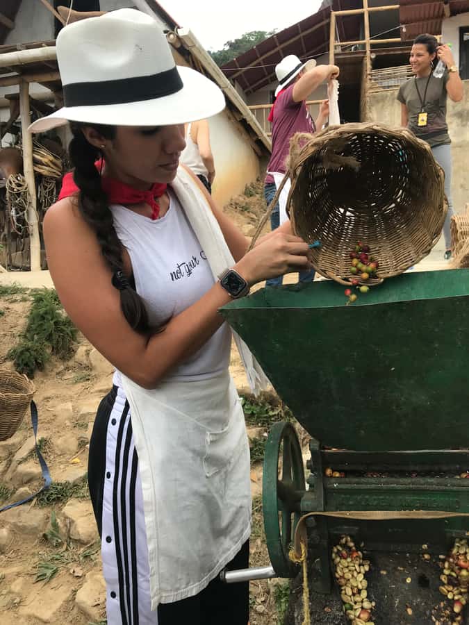 Medellín: Guatape Village with Coffee and Fruit Tasting Tour - Price and value: what $174 gets you, and what it doesn’t