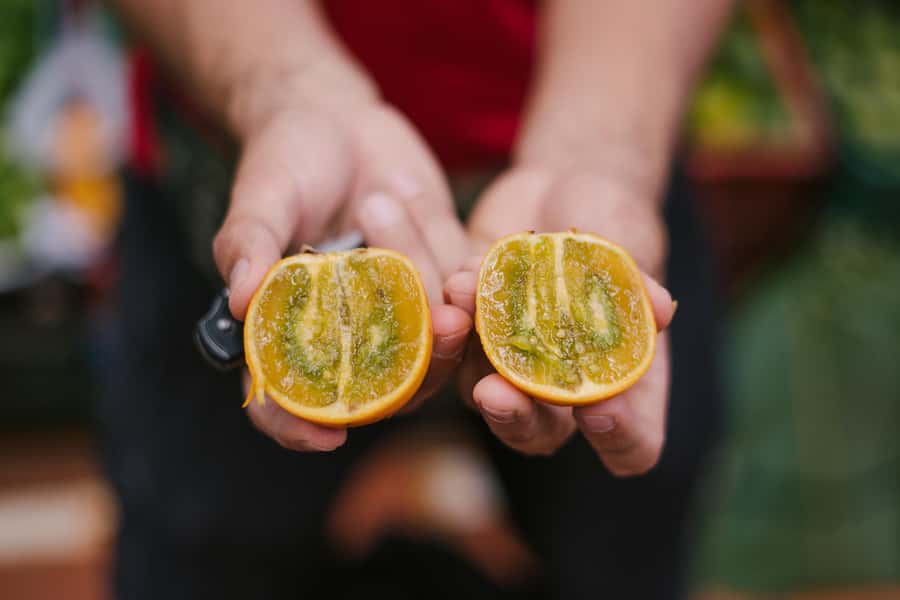 Medellín: Guided Exotic Fruits Tour - Who this tour suits best, and who should rethink it