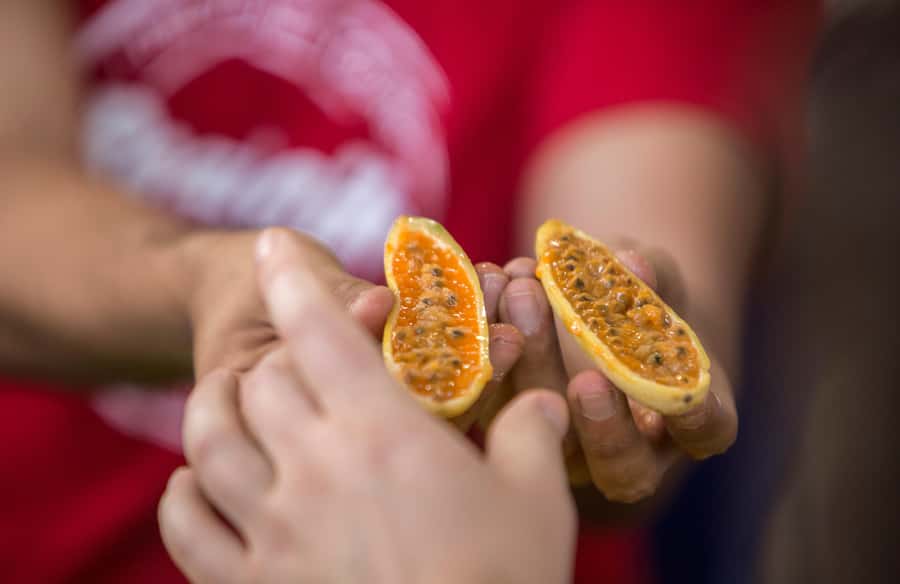 Medellín: Guided Exotic Fruits Tour - What you taste: exotic fruits and a fresh juice moment