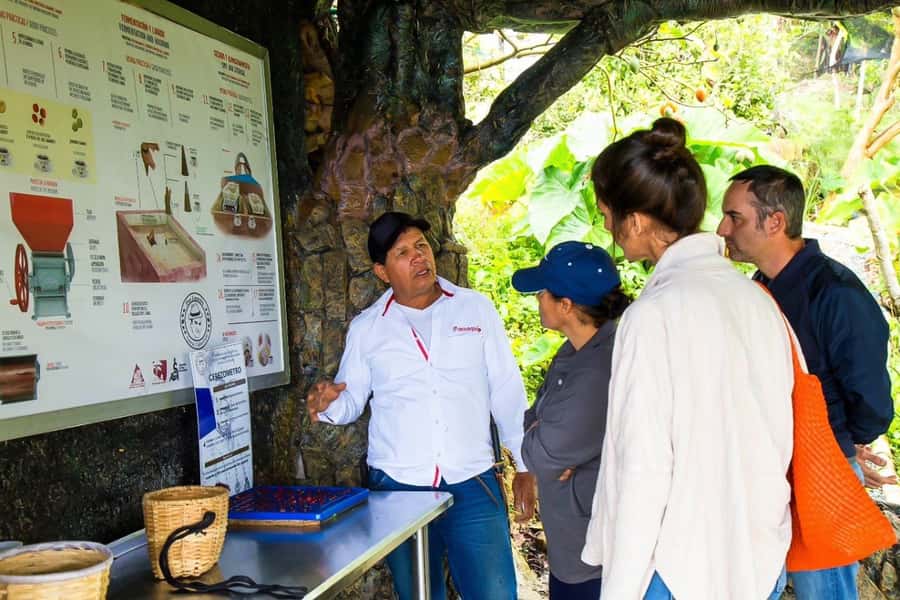 Medellin: Horseback Riding Coffee Farm Tour with Coffee Spa - Coffee Tasting With Brewing Methods That Actually Change the Cup