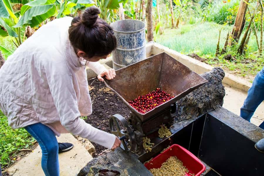 Medellin: Horseback Riding Coffee Farm Tour with Coffee Spa - Who This Tour Fits Best (And Who Should Skip It)