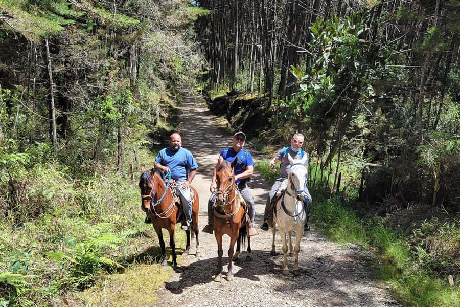 Medellin: Horseback Riding Coffee Farm Tour with Coffee Spa - The 35-Minute Muleteer Path Horse Ride: Scenic, But Come Prepared