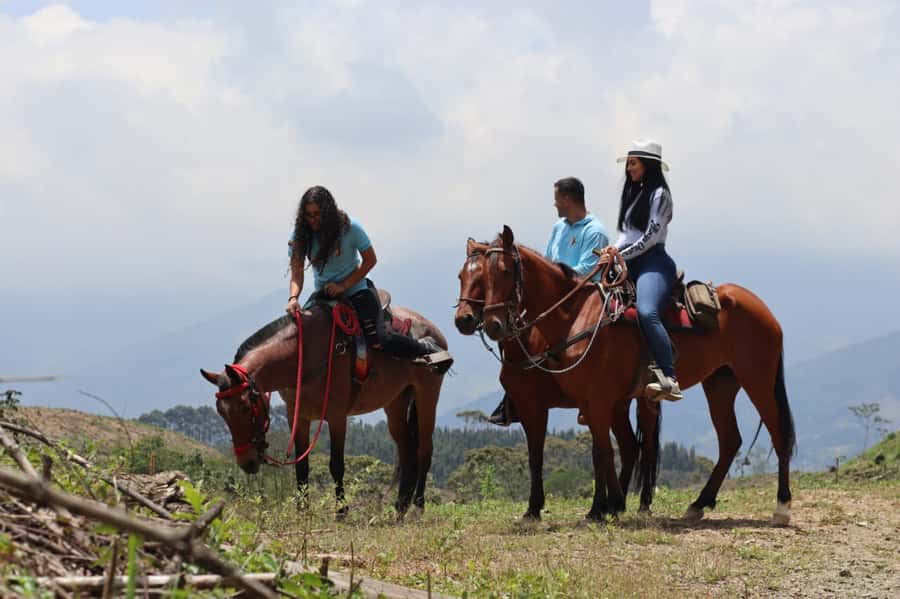 Medellin: Horseback Riding in the Medellin Mountains - Who this tour suits best, and who should skip it