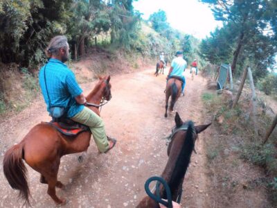 Horseback Riding in the Medellin Mountains