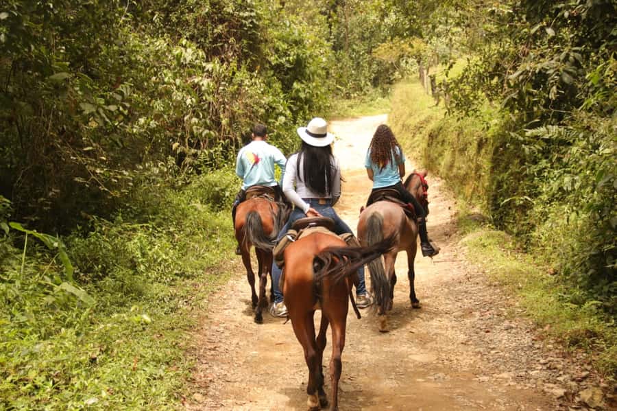 Medellin: Horseback Riding in the Medellin Mountains - Why arriero culture is more than a fun lesson