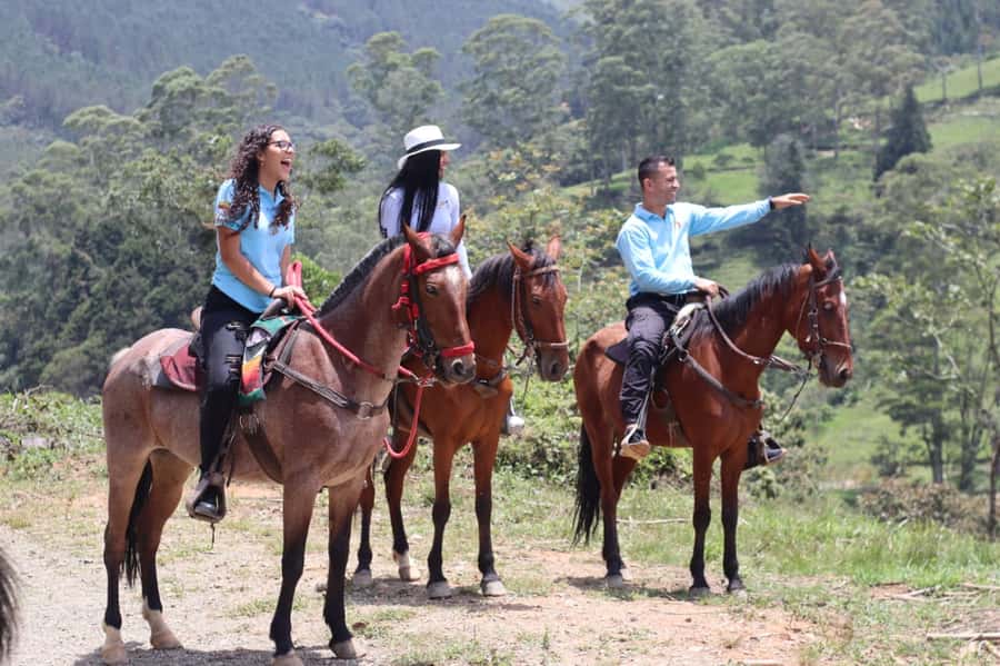 Medellin: Horseback Riding in the Medellin Mountains - What to wear and bring so the day goes smoothly