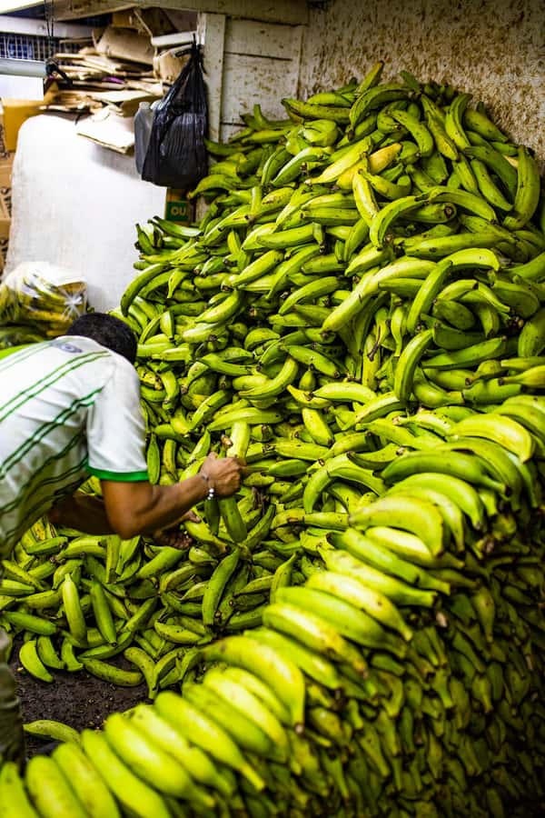 Medellín Multi-sensory Tour in the market, +15 Exotic Fruits - Price and value: what $36 buys in the real world