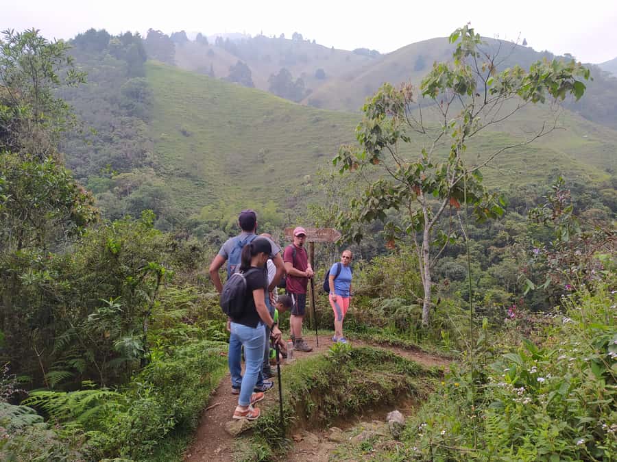 Medellín: Nature Experience & Waterfall-Hike - Swimming in the La Miel natural pools: fun, but plan for getting wet