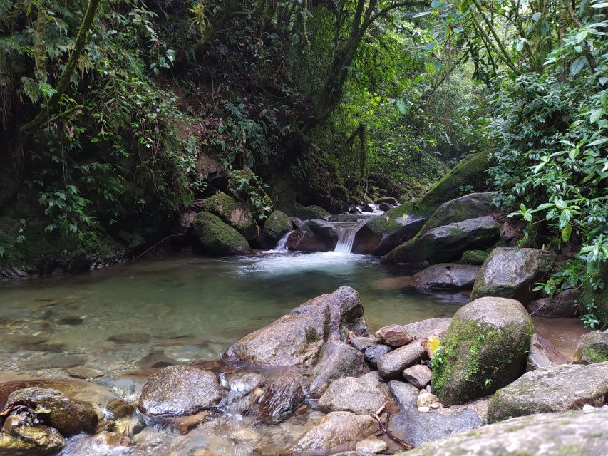 Medellín: Nature Experience & Waterfall-Hike - Views of Medellín from the hills: why this isn’t just about the waterfall