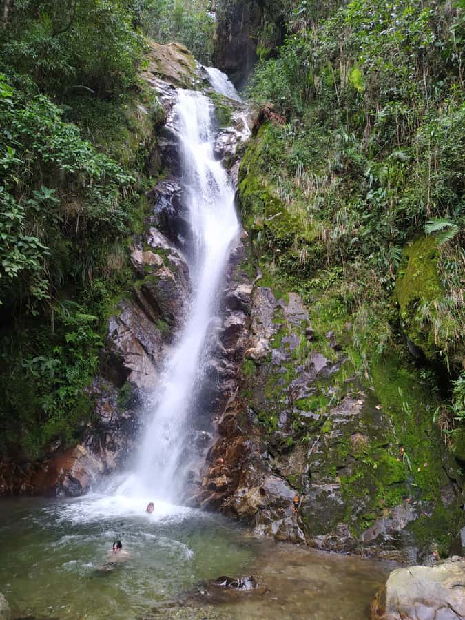 Medellín: Nature Experience & Waterfall-Hike - Price and value for Medellín: what you’re paying for and what you get