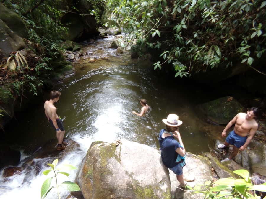 Medellín: Nature Experience & Waterfall-Hike - Who this is best for, and who should skip it