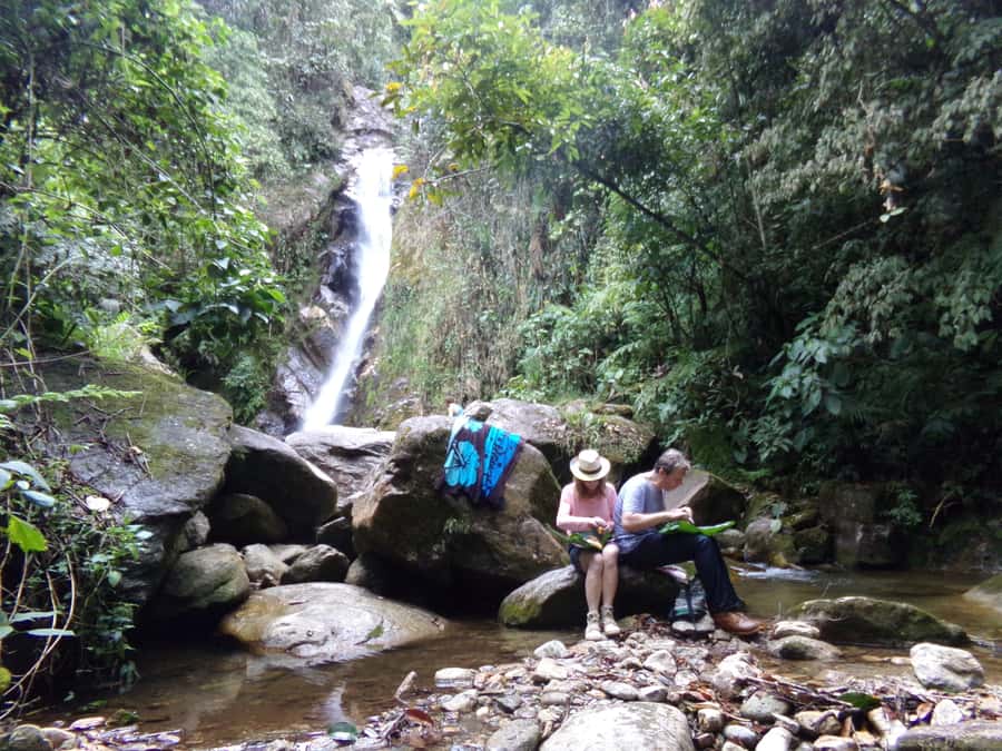 Medellín: Nature Experience & Waterfall-Hike - The river-to-waterfall connection: why La Miel hits so hard