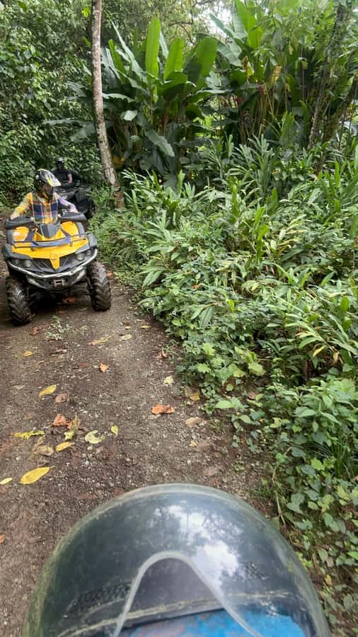 Medellin: Private ATV TOUR 1.5H - Key Highlights I’d Prioritize