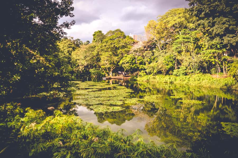 Medellin: Private City Tour - What your day looks like, step by step