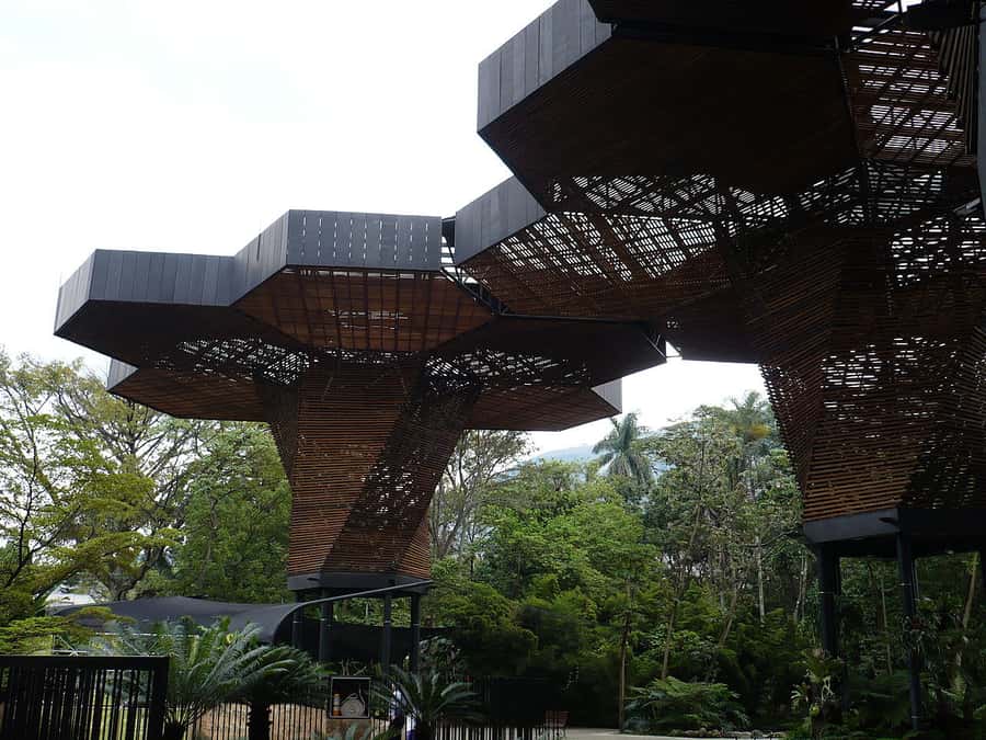 Medellin: Private City Tour - El Centro coffee and the downtown pacing that makes it feel real