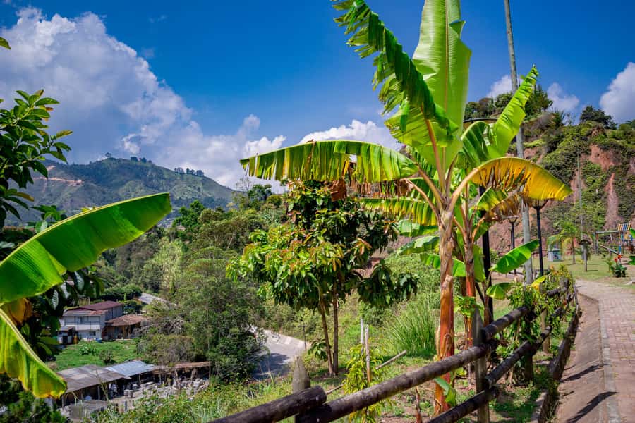 Medellín: Private Guatapé Tour w/ Breakfast, Lunch & Cruise - Guides and private group value: what you gain with a personal driver
