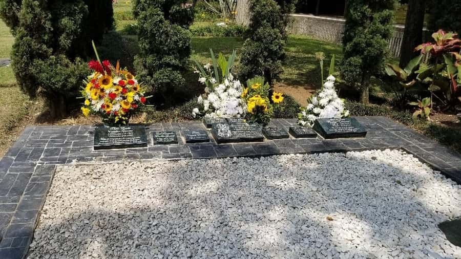 Medellín: Private Pablo Escobar and Comuna 13 Tour - How to get the most from your guide in English or Spanish