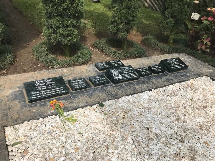 Medellín: Private Pablo Escobar Tour with Cable Car Ride - Los Olivos and the hillside neighborhoods tied to Escobar