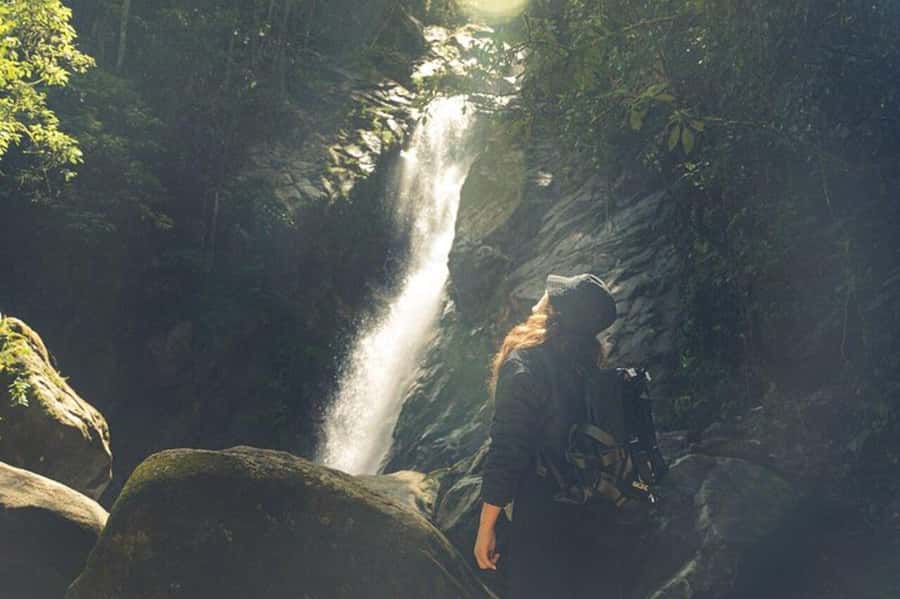 Medellín: Secret Waterfall Hike Tour with Snack and Coffee - Flora and Fauna Notes: Learning Without Making It a Lecture