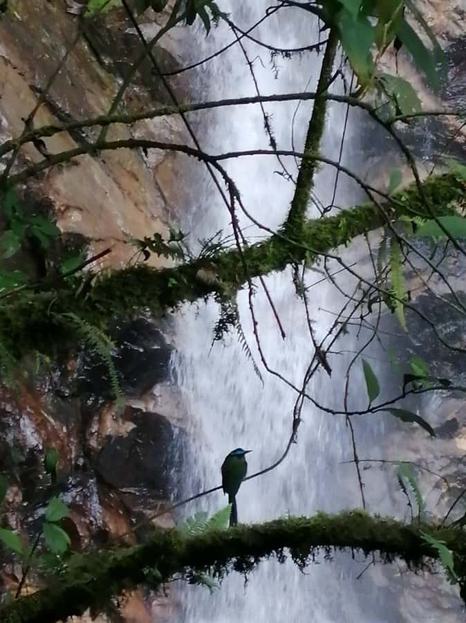 Medellín: Secret Waterfall Hike Tour with Snack and Coffee - Safety and Effort: Who This Tour Fits Best