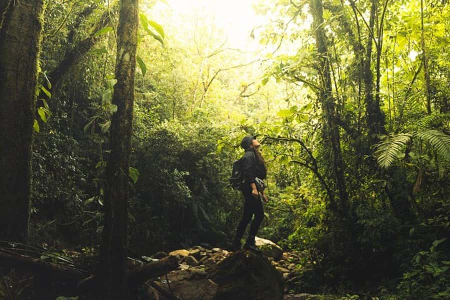 Medellín: Secret Waterfall Hike Tour with Snack and Coffee - Meeting Point and Getting to the Reserve Without Stress