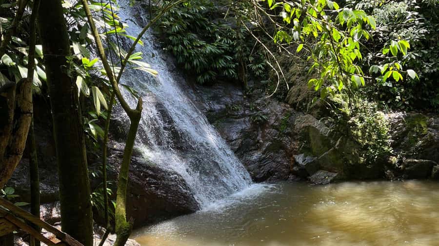 Minca: Hidden Waterfall + Coffee and Cocoa Workshop - How hard is it, and what to pack so the day stays fun
