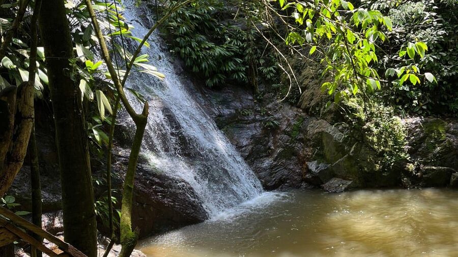 Minca: Hidden Waterfall + Coffee and Cocoa Workshop - Price and value: what $78 buys you in Minca