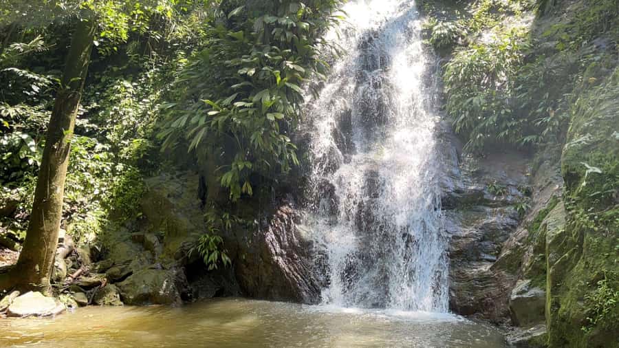 Minca: Hidden Waterfall + Coffee and Cocoa Workshop - Coffee workshop in the hills, from harvesting to roasting