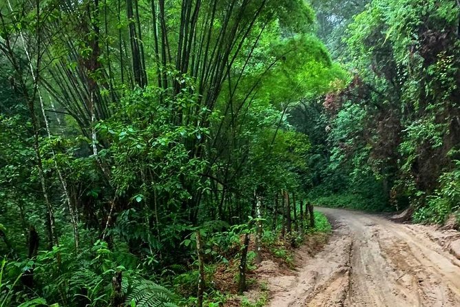 MINCA TOUR - Explore waterfalls and discover the origin of coffee and cocoa - Key points to know before you go