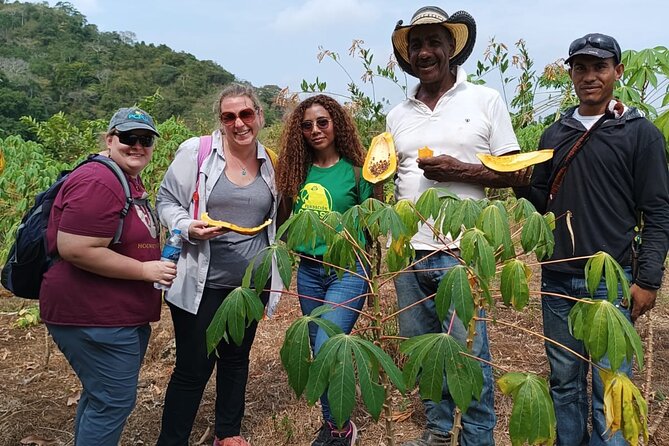 Monkey Volunteer Work in Wildlife Reserve Near Cartagena - Price and value: what $149 gets you in real life