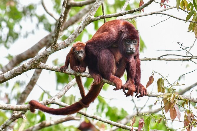 Monkey Volunteer Work in Wildlife Reserve Near Cartagena - The 4x4 ride to Cerro de los Loros and the human side of conservation