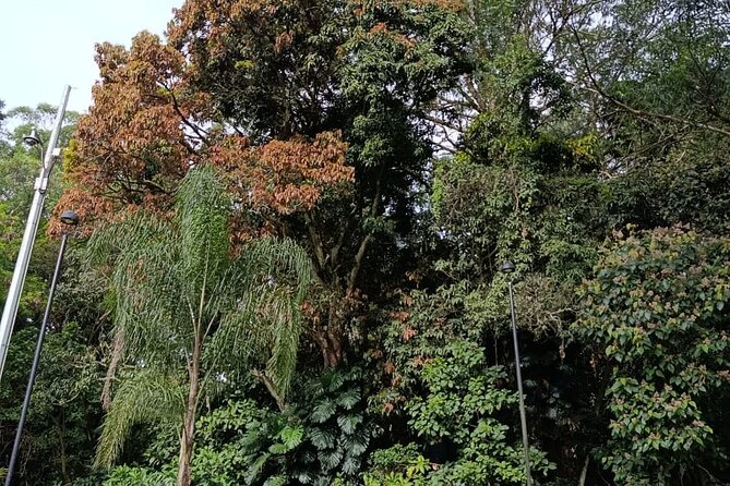 More than Escobar Tour - Medellín Chamber of Commerce: drug economics in plain language