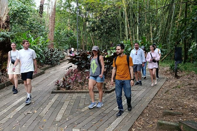 More than Escobar Tour - Where the tour begins: El Poblado meeting point and a clear walking rhythm