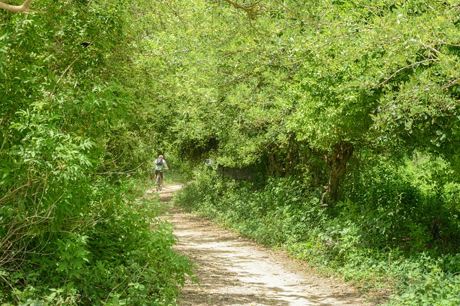 Mountain Biking Through Tierra Bomba’s Untouched Beauty - Stop 2: Fuerte de San Fernando de Bocachica and 400 years of defense