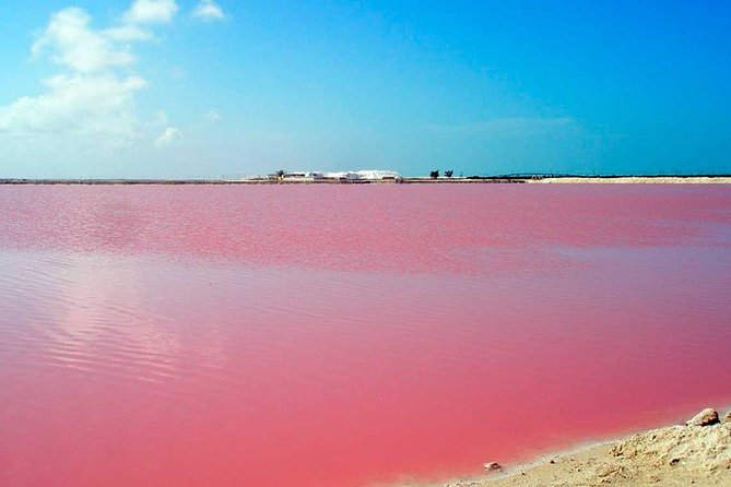 Mud Volcano and Pink Sea with Lunch Included - Should You Book Mud Volcano and Pink Sea With Lunch Included?