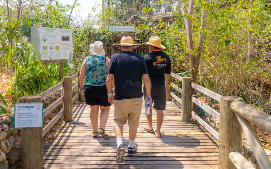 National Aviary and Playa Blanca Plankton Full-Day Tour - Mambo Beach Club and Playa Blanca: The Best Part of the Middle Hours