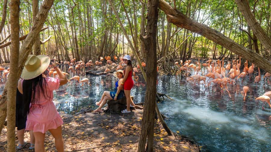 National Aviary and Playa Blanca Plankton Full-Day Tour - Should You Book This Tour?
