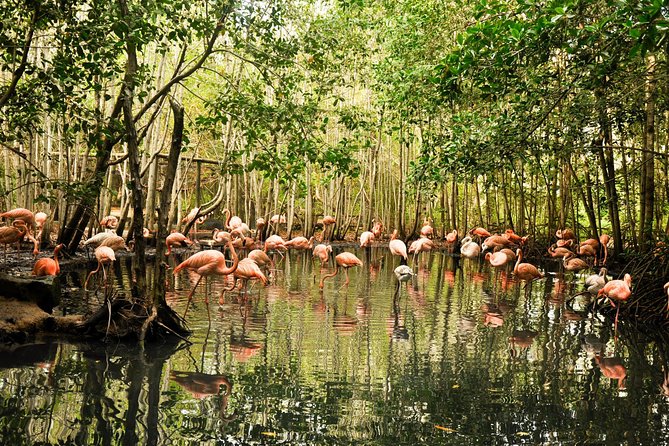 National Aviary private from Cartagena - Four recreated ecosystems: how to “read” the aviary